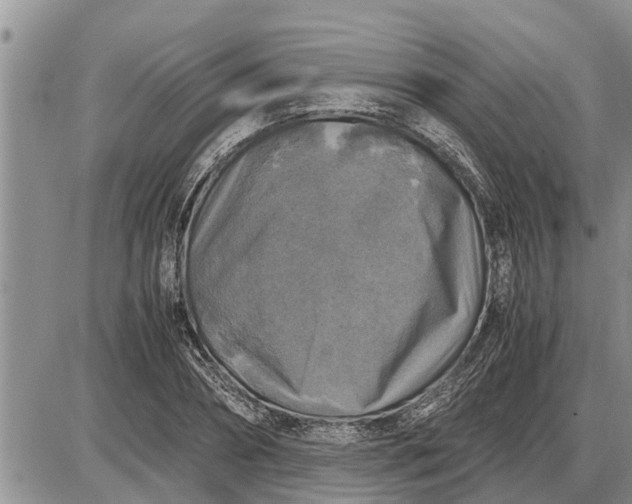 X0000085250882200703231647