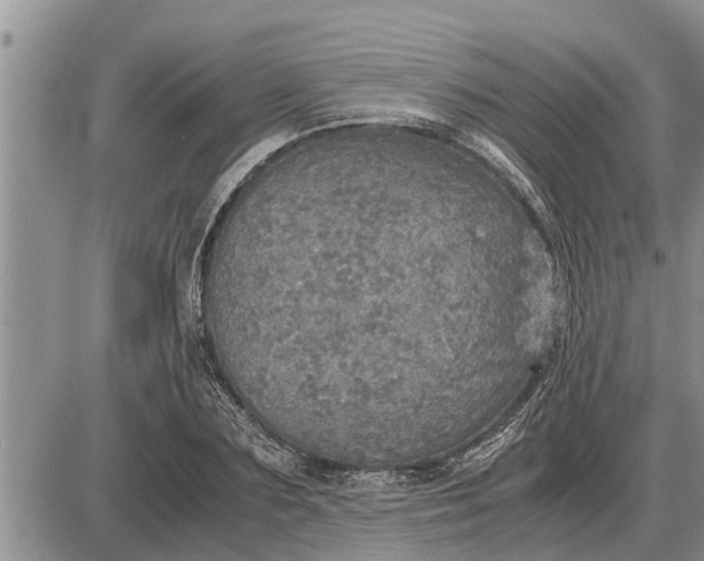 X0000085250883200703231647