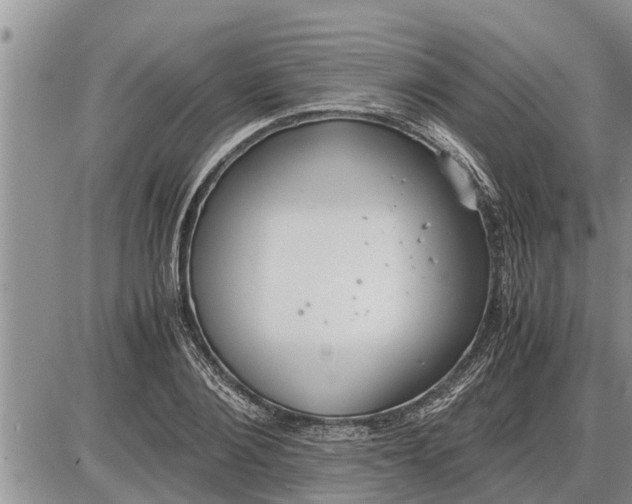 X0000085250884200703231647