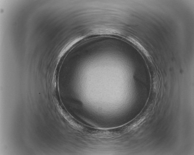 X0000085250885200703231647