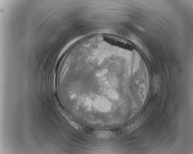 X0000085250886200703231647