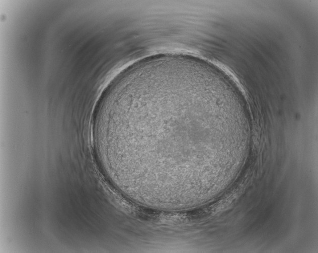 X0000085250887200703231647