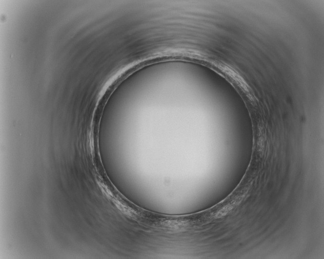 X0000085250888200703231647