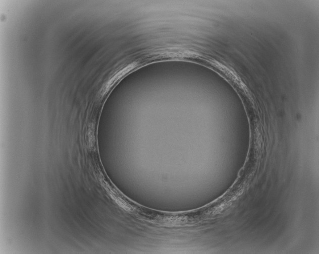 X0000085250889200703231647