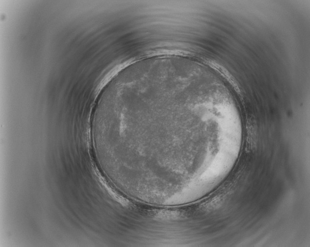 X0000085250890200703231647