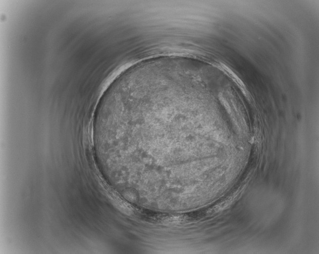 X0000085250891200703231647