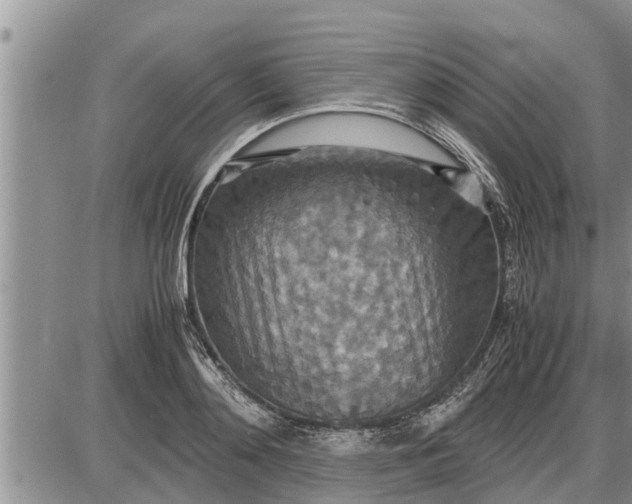 X0000085250892200703231647