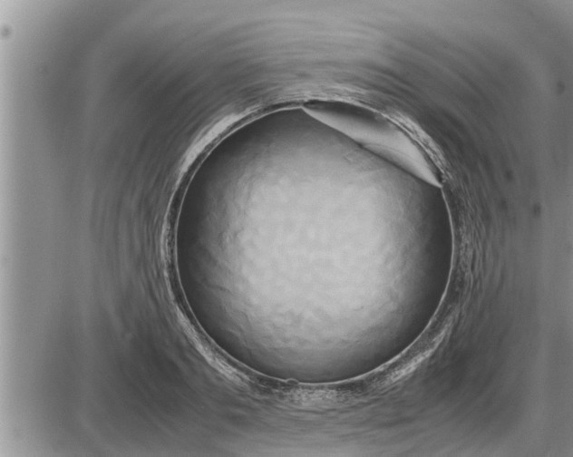 X0000085250893200703231647