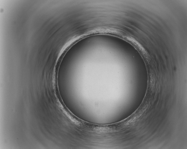 X0000085250894200703231647