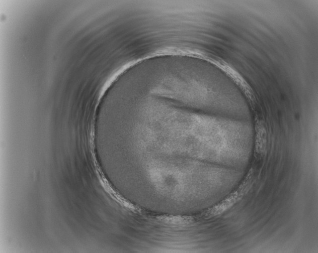 X0000085250896200703231647