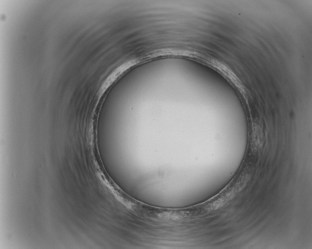 X0000085250898200703231647