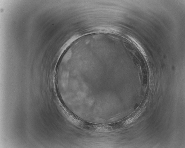 X0000085250899200703231647