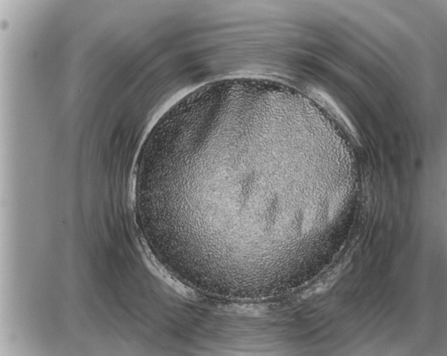 X0000085250900200703231647