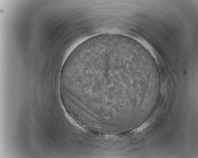 X0000085250903200703231647