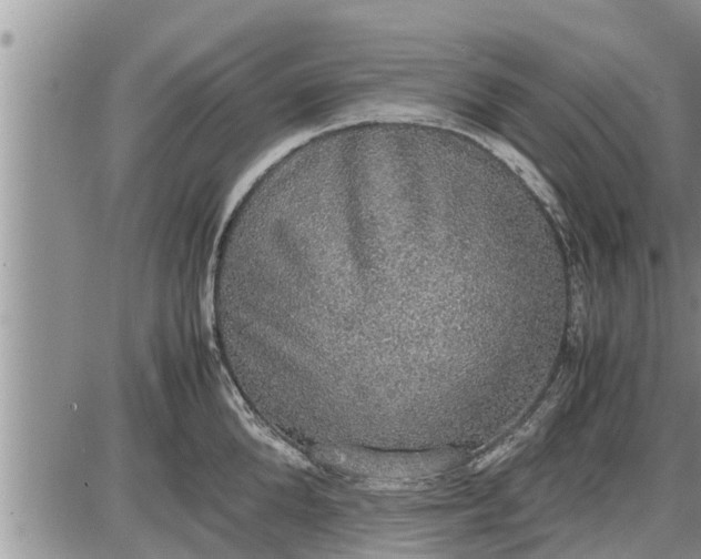 X0000085250904200703231647