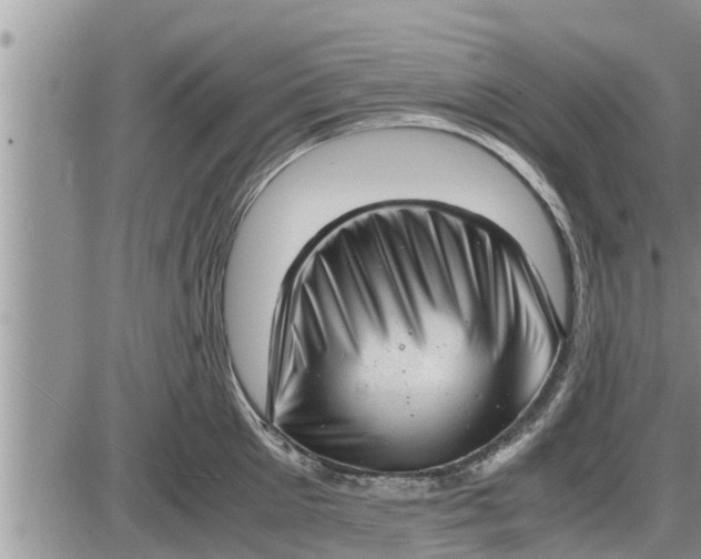 X0000085250905200703231647