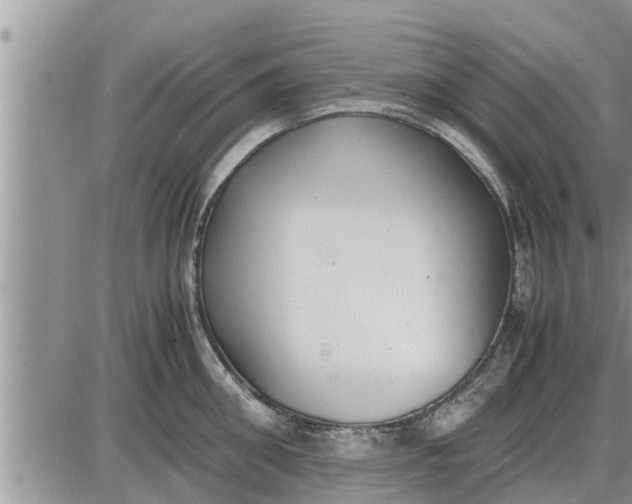 X0000085250906200703231646