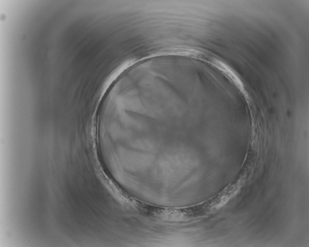 X0000085250907200703231646