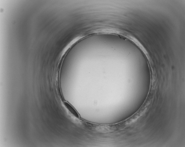 X0000085250909200703231646