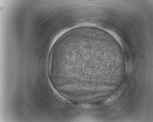 X0000085250911200703231646