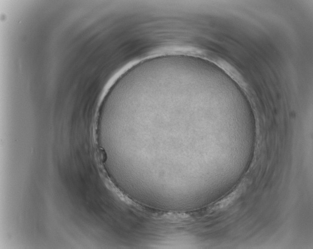 X0000085250912200703231646