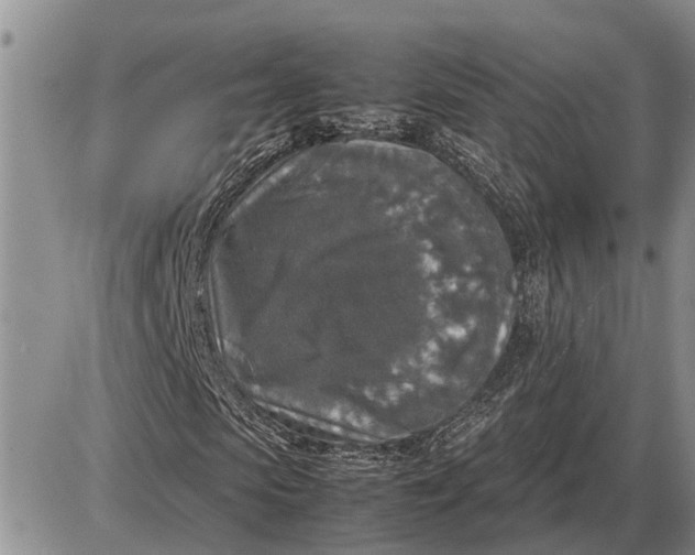 X0000085250913200703231646