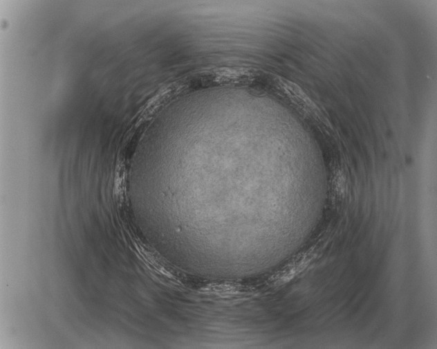 X0000085250914200703231646