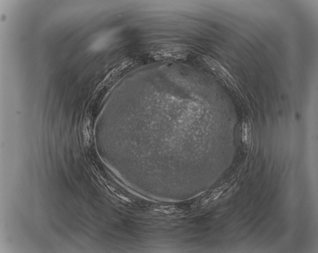 X0000085250915200703231646