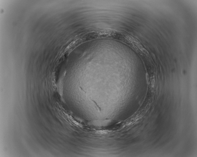 X0000085250916200703231646