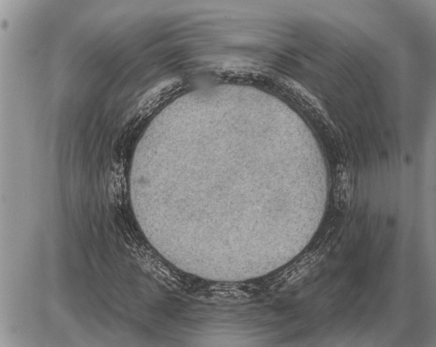 X0000085250918200703231646