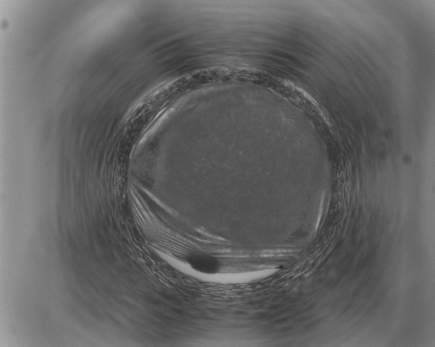 X0000085250919200703231646