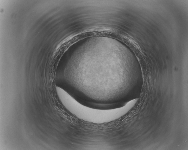 X0000085250920200703231646