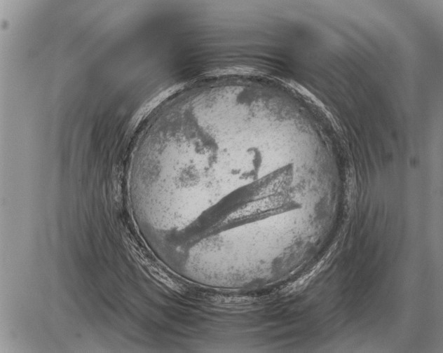 X0000085250921200703231646