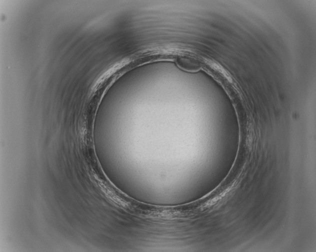 X0000085250922200703231646