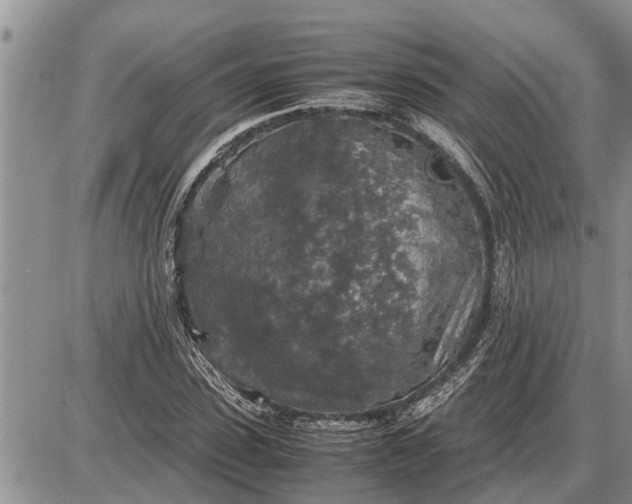 X0000085250923200703231646