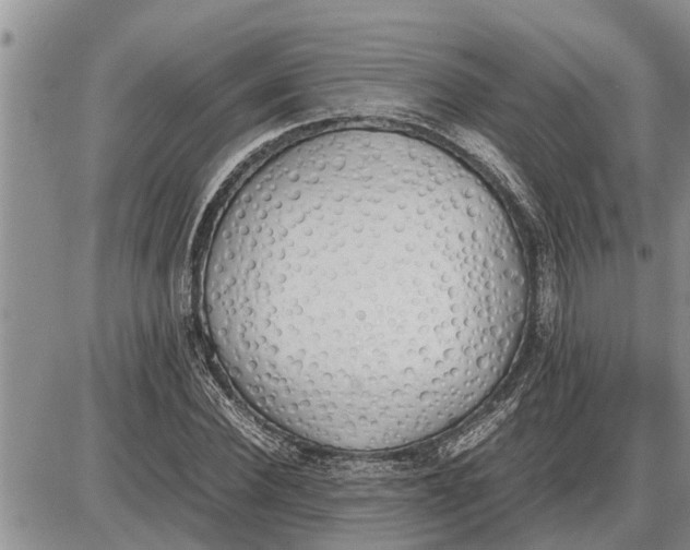 X0000085250924200703231646