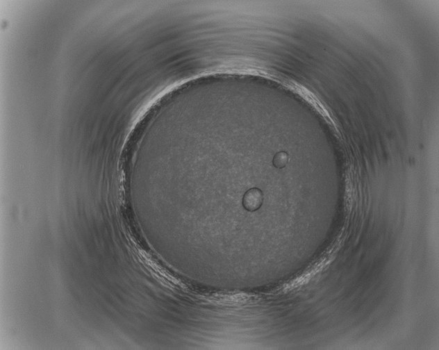 X0000085250926200703231646