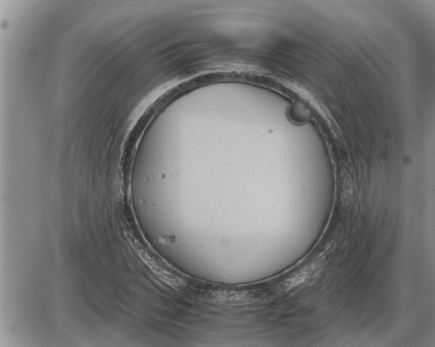 X0000085250927200703231646