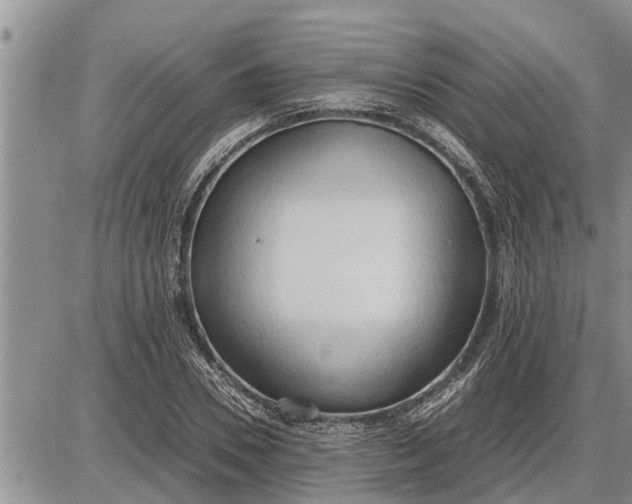 X0000085250930200703231646