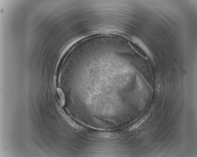 X0000085250932200703231646