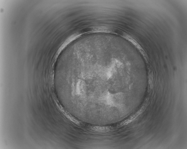 X0000085250933200703231646