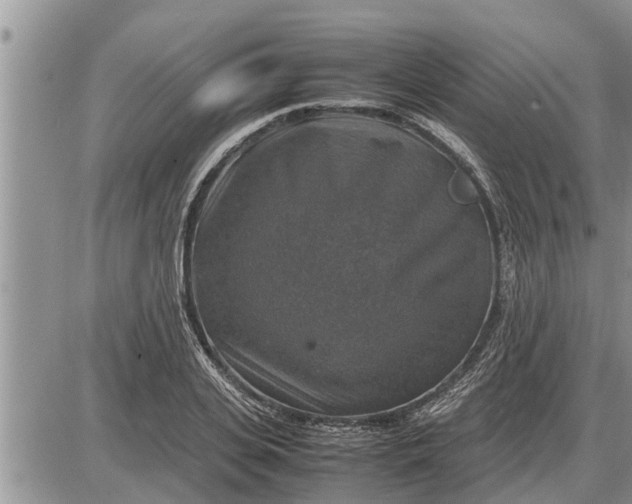 X0000085250935200703231646