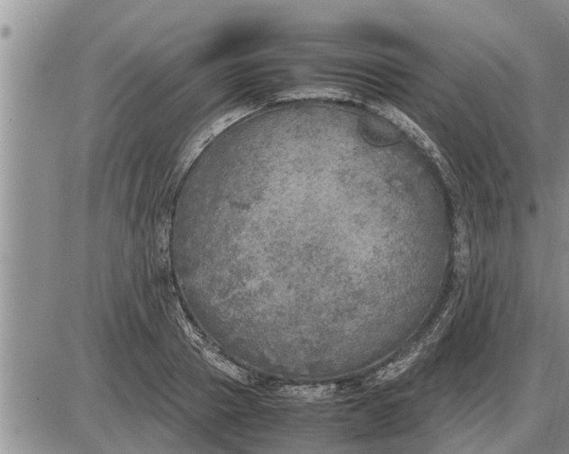 X0000085250937200703231646