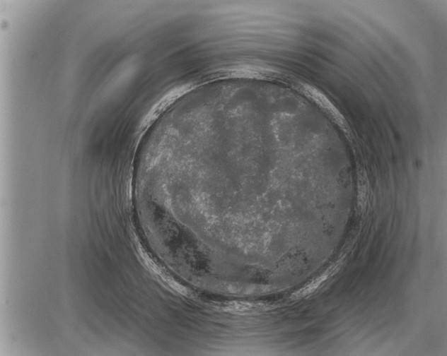 X0000085250938200703231646