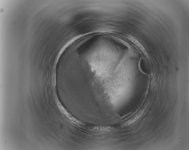 X0000085250939200703231646