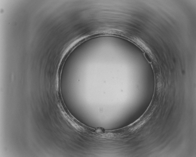 X0000085250940200703231646