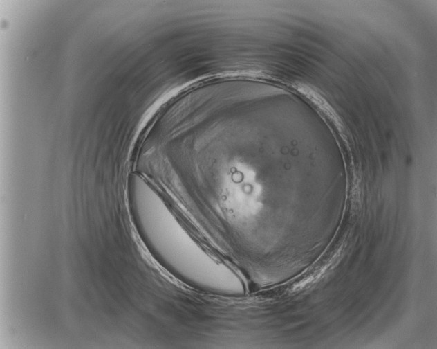 X0000085250941200703231646