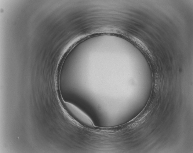 X0000085250942200703231646