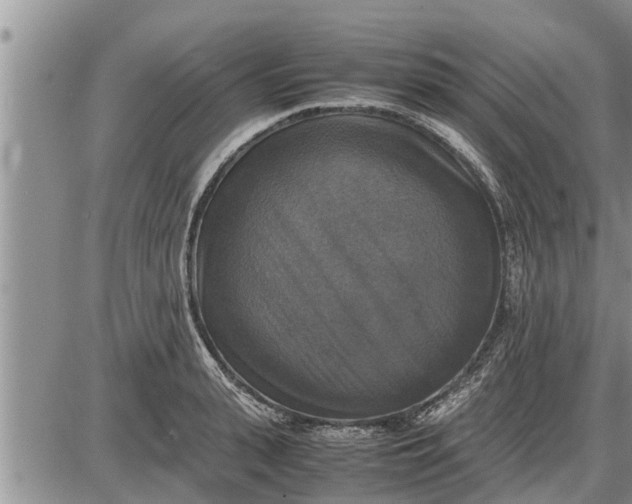 X0000085250943200703231646