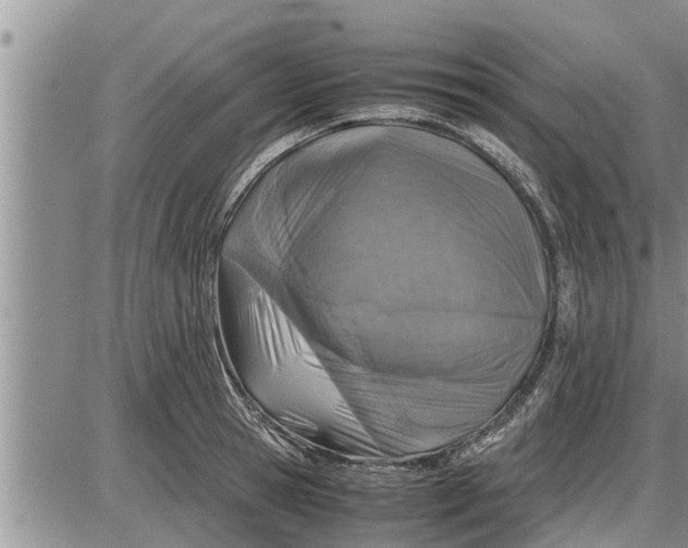 X0000085250945200703231646